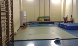 il Dojo